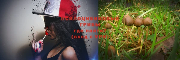 PSILOCYBIN Краснотурьинск
