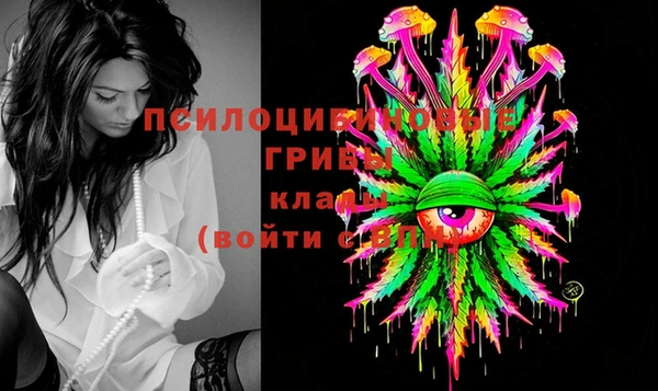 PSILOCYBIN Краснотурьинск